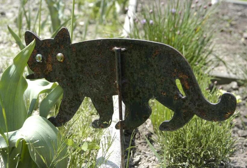 住宿加早餐 Haus Lampacher