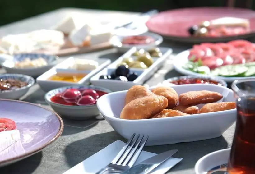 Hotelli Koçanlı Köşkü