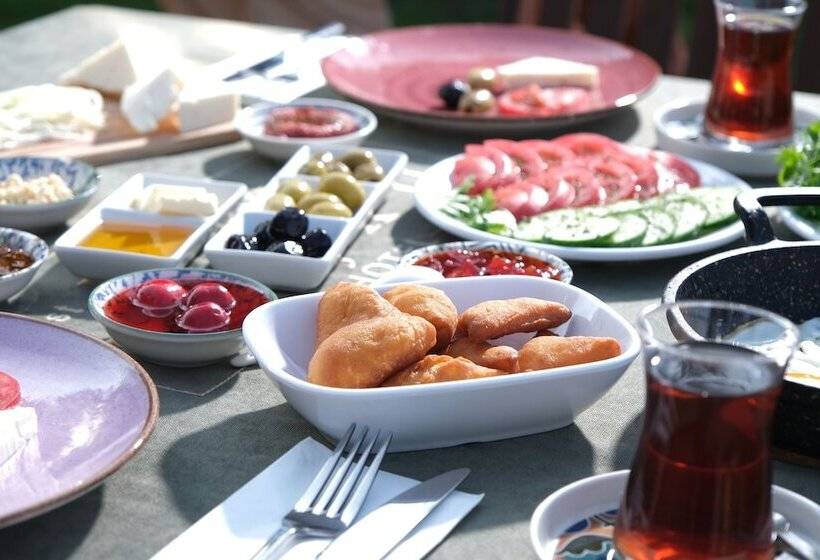 בית מלון כפרי Koçanlı Köşkü