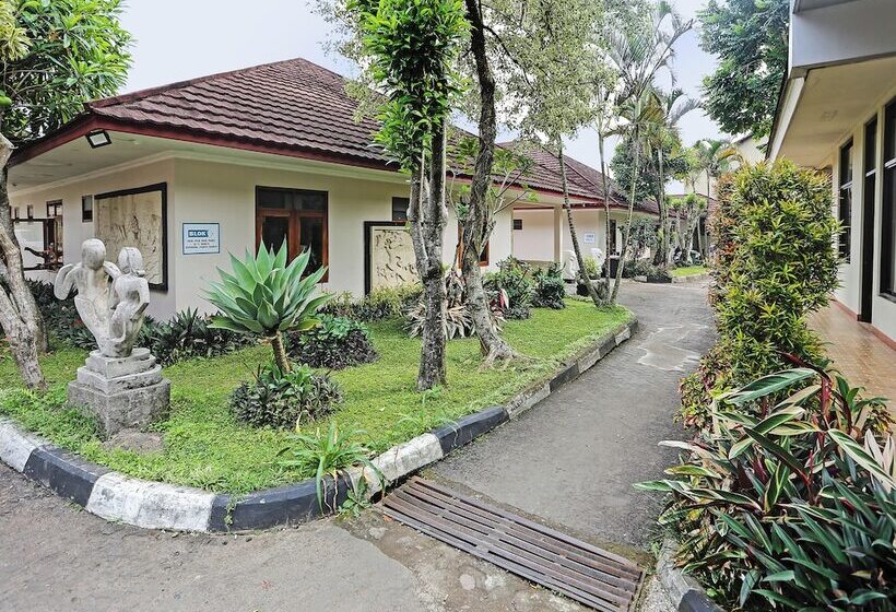 Hotel Oyo 92717 Tjokro 3