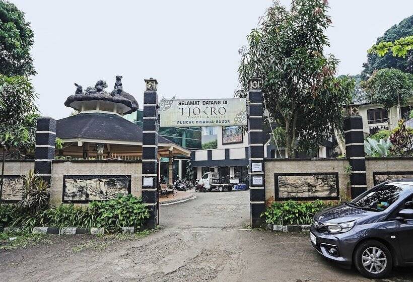 Hotel Oyo 92717 Tjokro 3