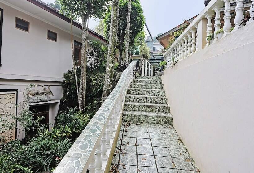 Hotel Oyo 92717 Tjokro 3