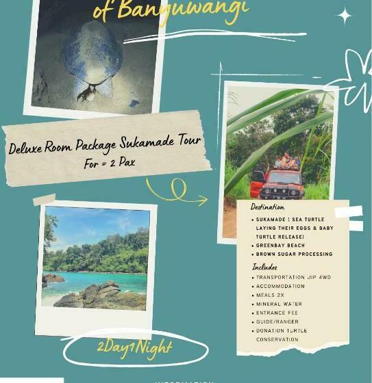 هاستل Kawah Ijen & Sukamade Trip By Robiu