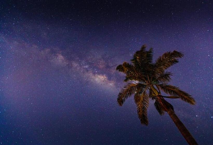 منتجع Chara Africa