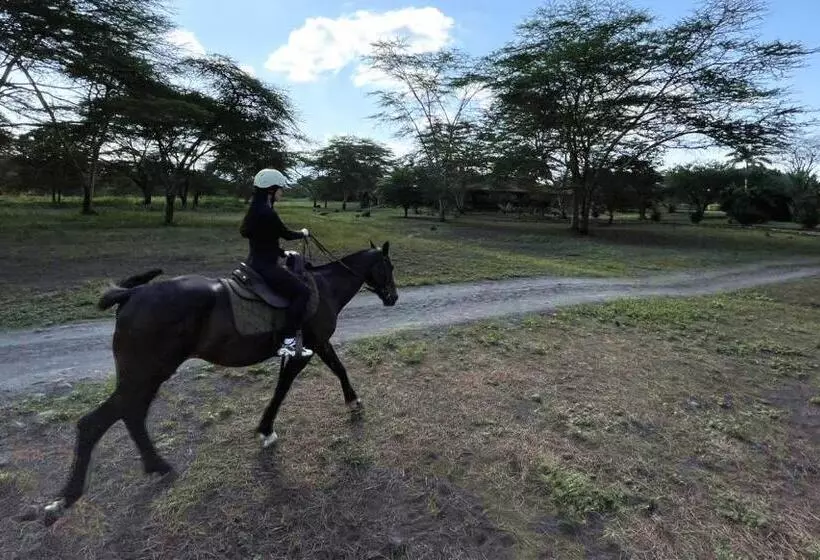 Lomakeskus Chara Africa