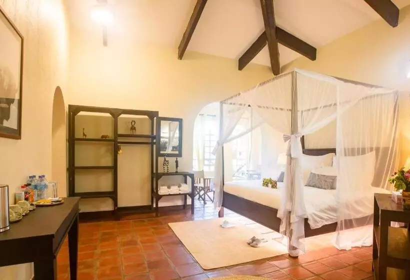 Lomakeskus Chara Africa