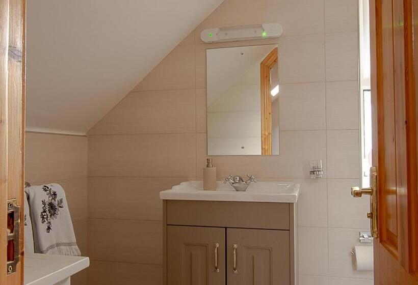 مبيت وإفطار Lis Ardagh Lodge