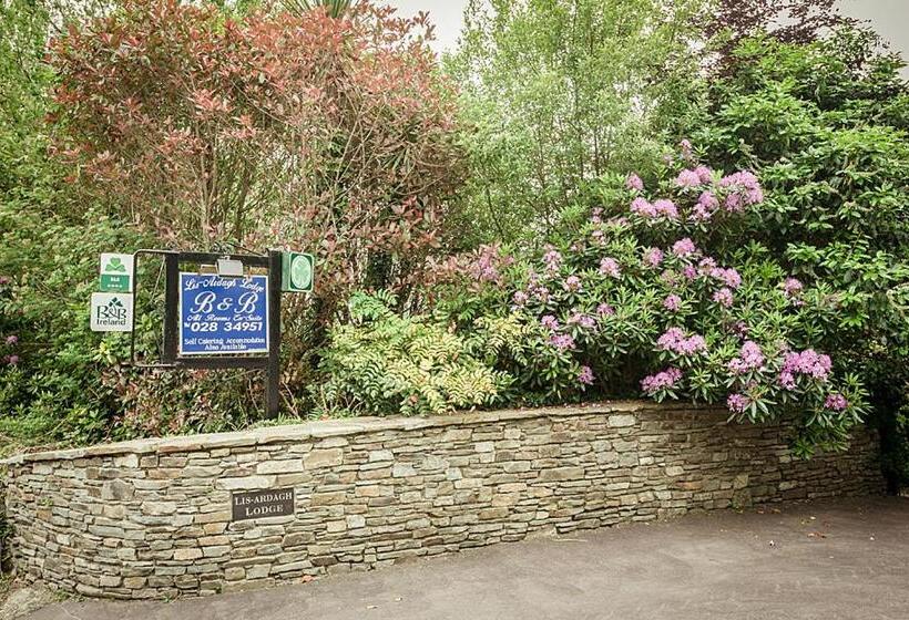 مبيت وإفطار Lis Ardagh Lodge