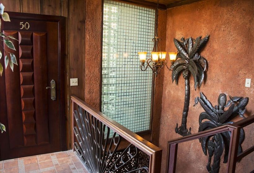 هتل B & B Comfy Inn