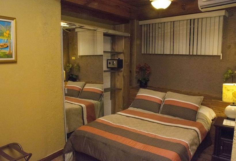 هتل B & B Comfy Inn