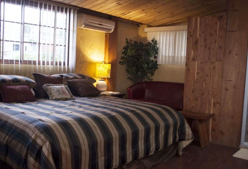 هتل B & B Comfy Inn