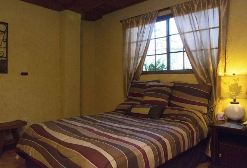 هتل B & B Comfy Inn