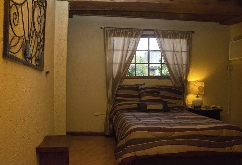 هتل B & B Comfy Inn