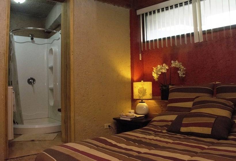 هتل B & B Comfy Inn