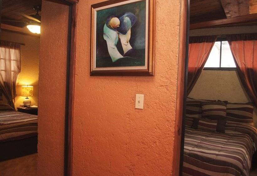 هتل B & B Comfy Inn