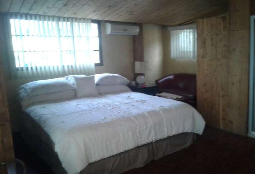 هتل B & B Comfy Inn