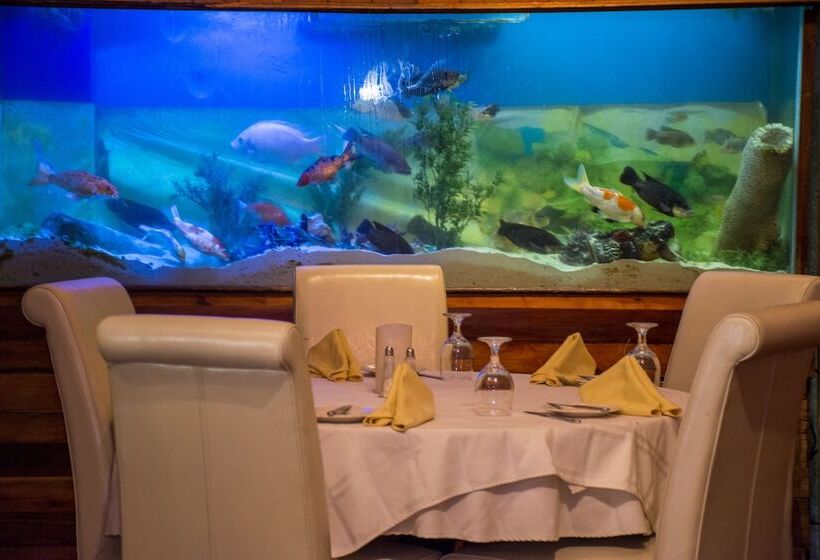 هتل B & B Comfy Inn