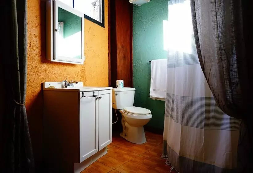 هتل B & B Comfy Inn
