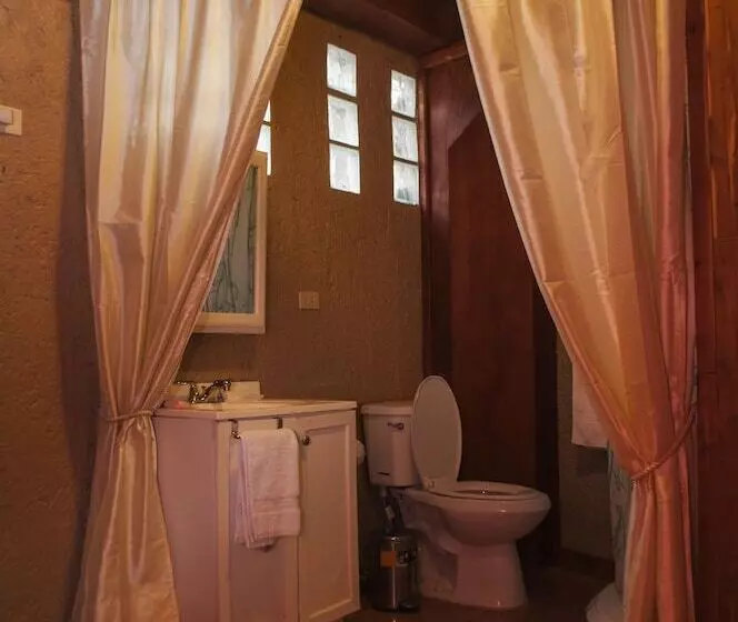 هتل B & B Comfy Inn