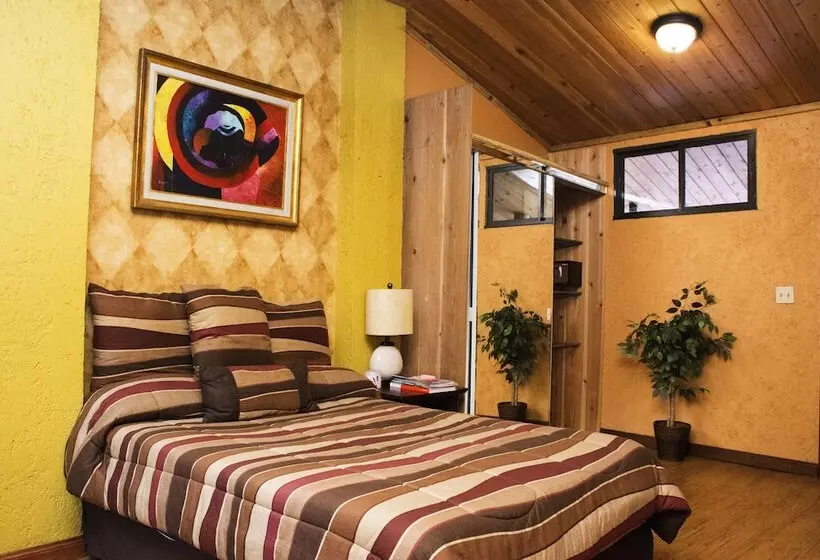 هتل B & B Comfy Inn