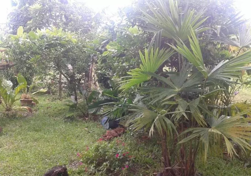 هتل Cabinas Los Almendros
