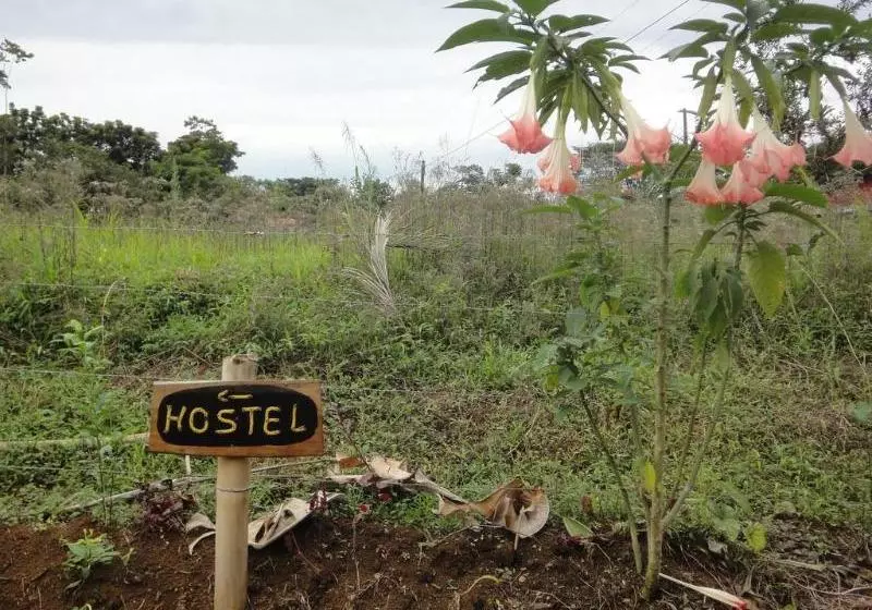 هتل Cabinas Los Almendros