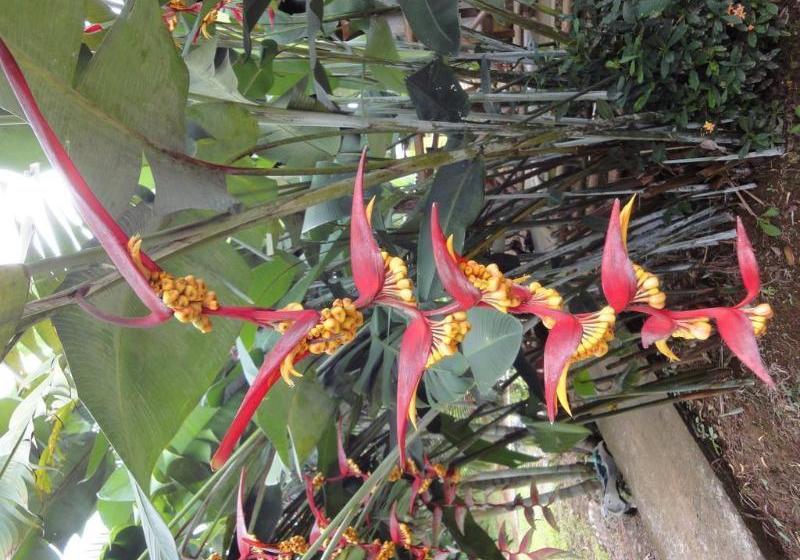 فندق Cabinas Los Almendros