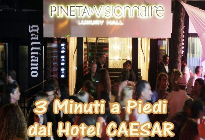 酒店 Caesar Bed And Breakfast