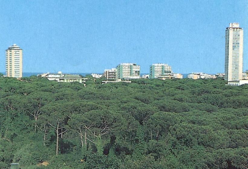 酒店 Caesar Bed And Breakfast