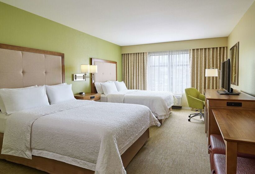 فندق Hampton Inn & Suites Silverthorne