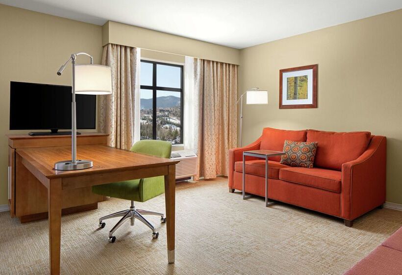 فندق Hampton Inn & Suites Silverthorne