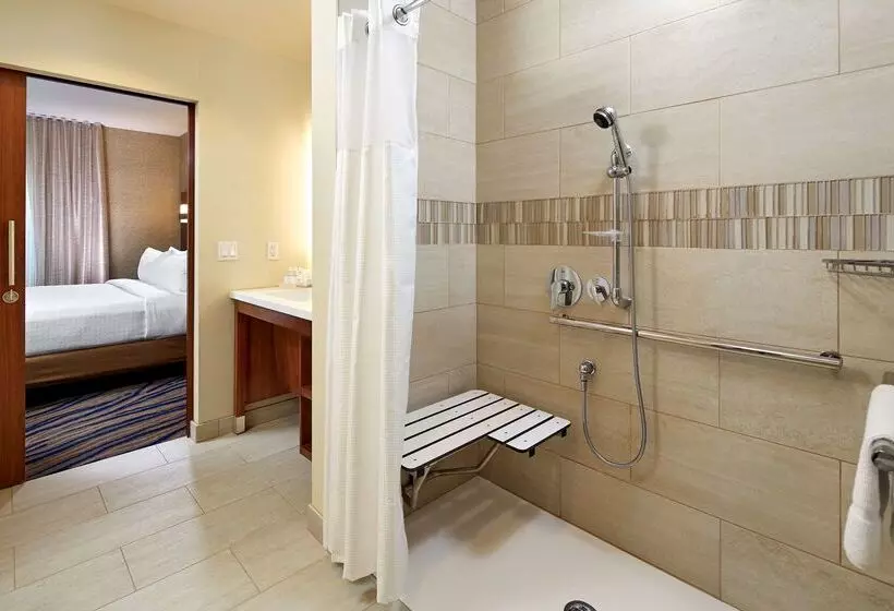 ホテル Homewood Suites By Hilton San Diego Mission Valley/zoo