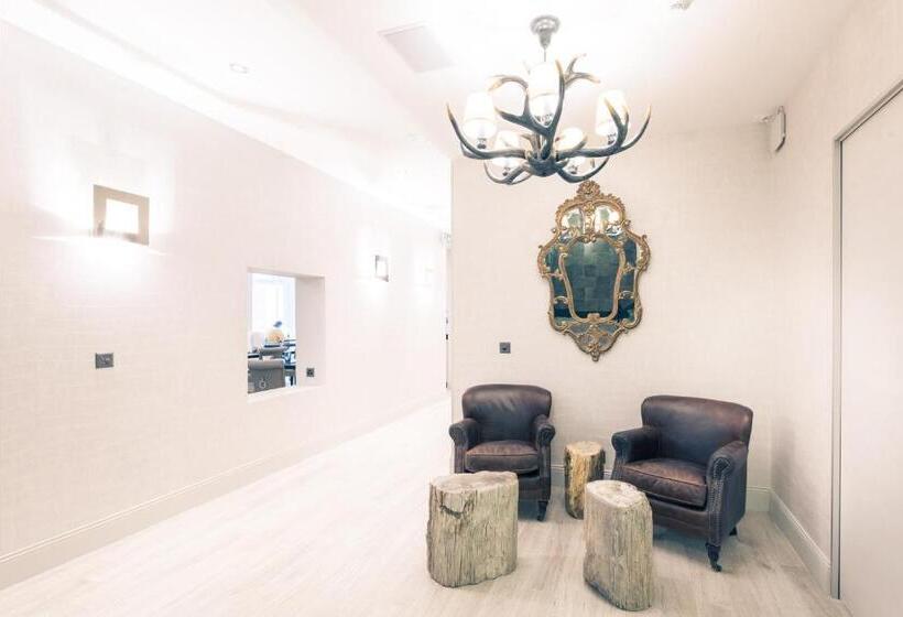 فندق Hôtel Le White   Le 42 Restaurant