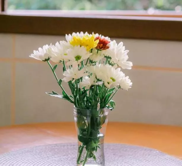 هتل Pousada Chaday