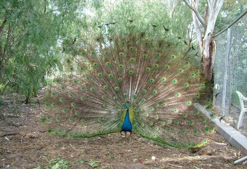 בית מלון כפרי The Old Butter Factory At Springhurst Estate