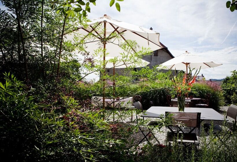 Le Coq Chantant B&b And Boutique