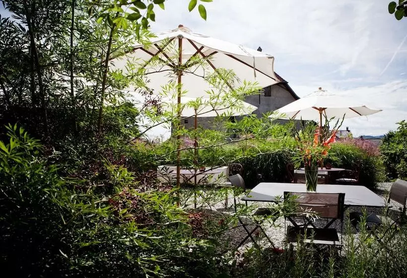 Le Coq Chantant B&b And Boutique