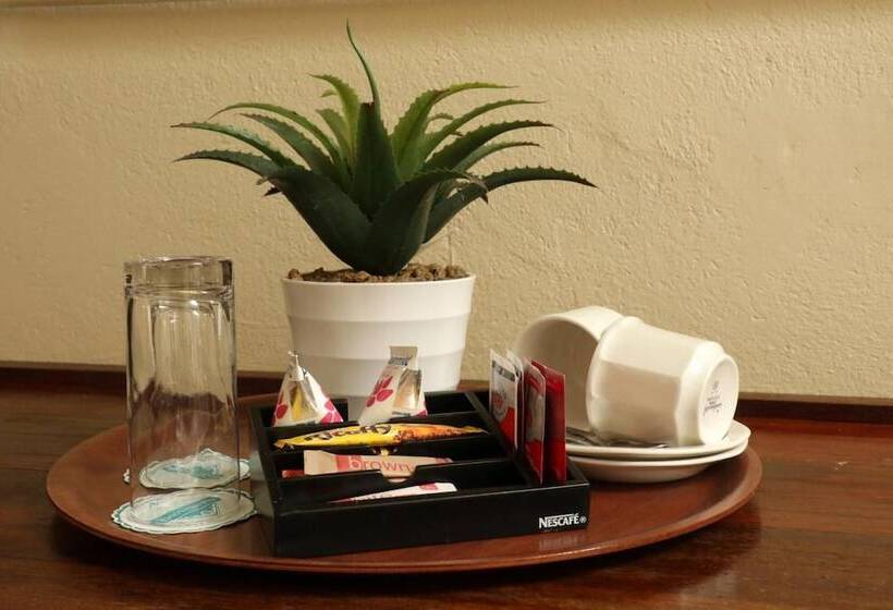 膳宿费 Oxford Lodge Vryheid