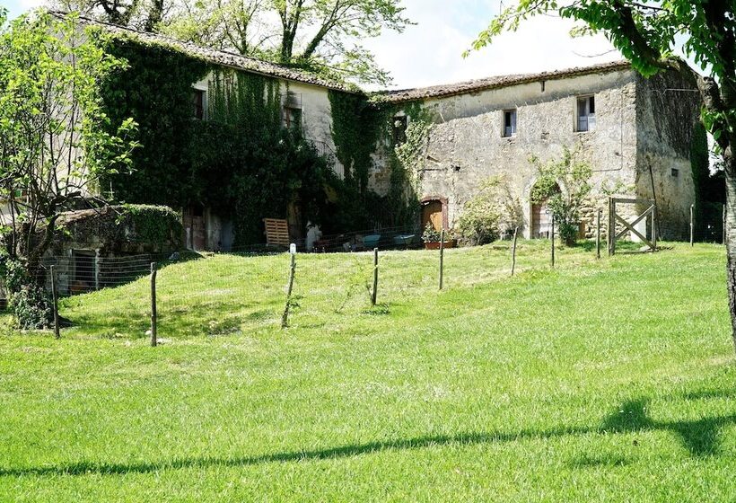 Relais Colle Buono