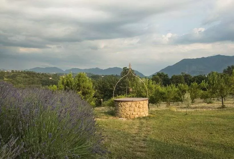 Relais Colle Buono