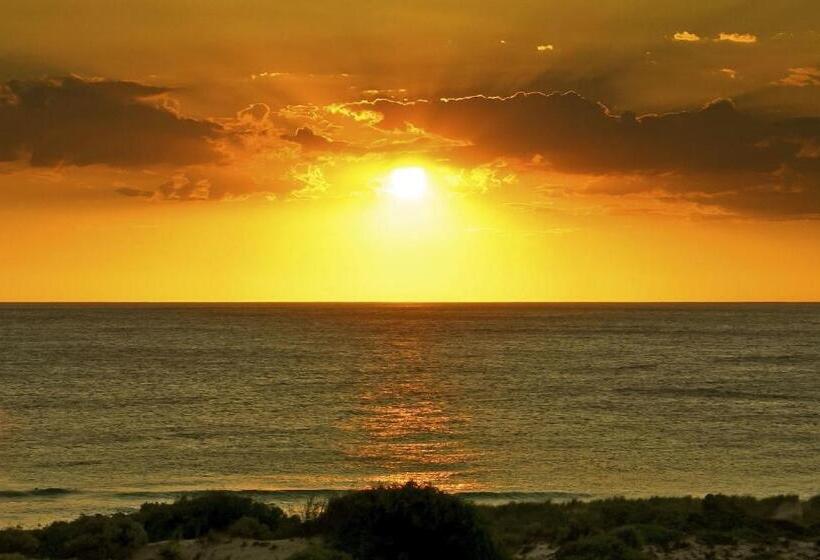 Scarborough & Absolutely Beachfront