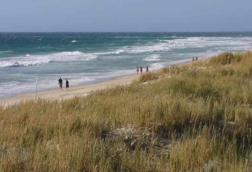 Scarborough & Absolutely Beachfront