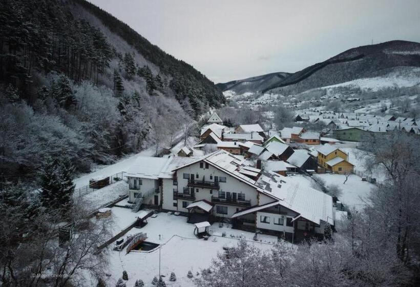 פנסיון Lacul De Argint