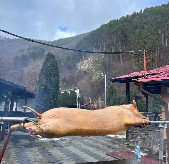 Majatalo Lacul De Argint