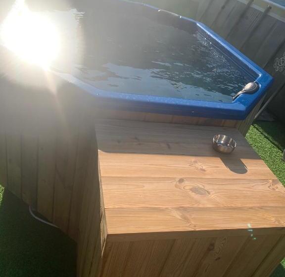 פנסיון Lacul De Argint