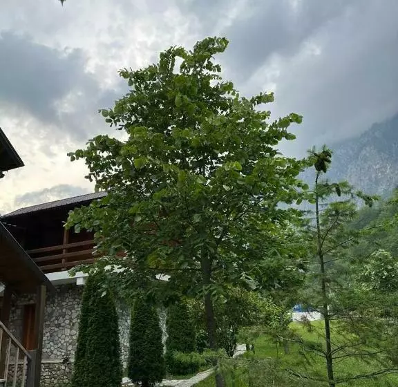 Hotelli Valbona Relax