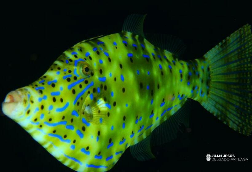 هاستل Boutique Hotel Las Eras Beach