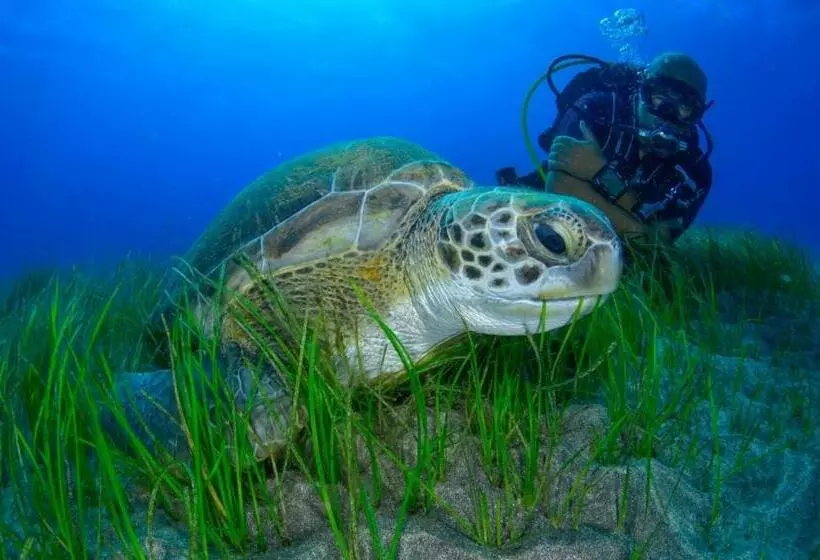 ユースホステル Boutique Hotel Las Eras Beach