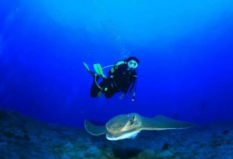 ユースホステル Boutique Hotel Las Eras Beach