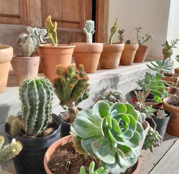 Bed & Breakfast Terra   Casa De Campo